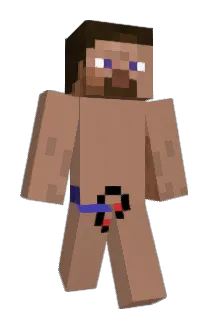 c4s7_ Minecraft avatar full body
