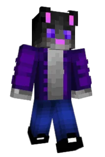 c4tnit Minecraft avatar full body