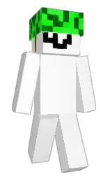 Minecraft skin — Slim model
