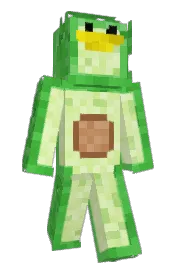 Skin preview