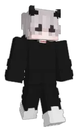 Minecraft skin — Classic model