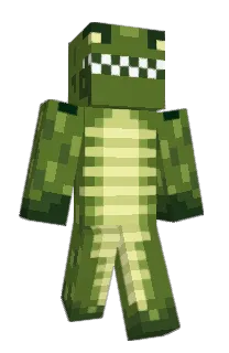 Front of shottle's skin