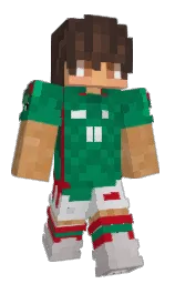 Minecraft skin — Classic model