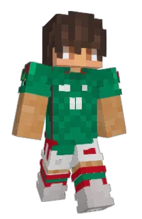 Front of Minecraft skin