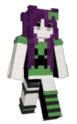Minecraft skin — Classic model
