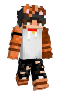 Front of Taofiye's skin