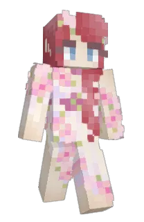 Front of the_n1nja's skin