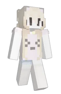 Front of 1HM's skin