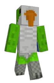 Skin preview