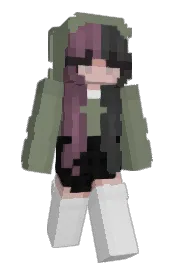 Skin preview