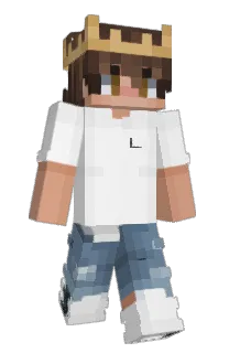 Front of wilhasthewin's skin