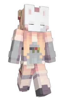 Front of StopDolphin's skin