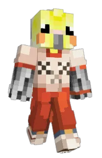 Front of Gorguano's skin