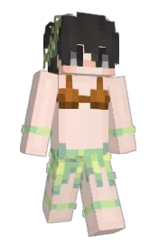Skin preview