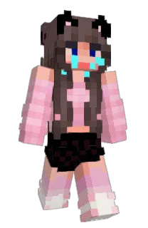 Front of SumTheCat's skin