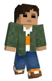 Skin preview