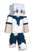 iRexmc