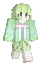 Skin preview