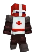 thechromosome