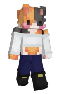 Front of JPRmus's skin