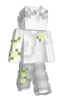 Zomy4ever's Minecraft skin