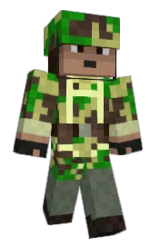 Skin preview