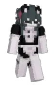 saop_v2