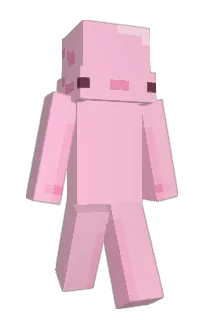 Front of ty_ty1's skin