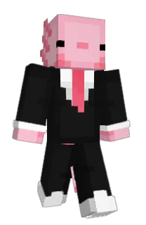schooj's Minecraft skin
