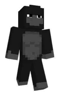 Front of Cybermunkel's skin