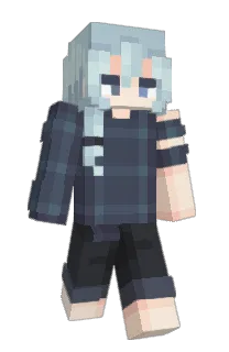 Front of Posterss's skin