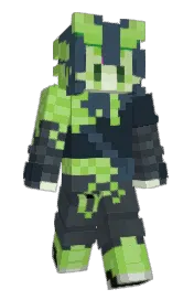 Skin preview