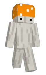 westar and pizazz Minecraft skin — Slim model — first worn by PoZiomek420