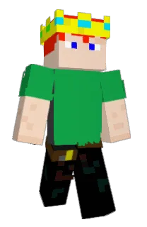 Front of BIRDFOSSILIZED's skin