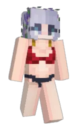 Slim Minecraft skin