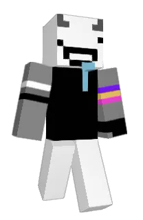 Front of p4p3rt0w3l's skin