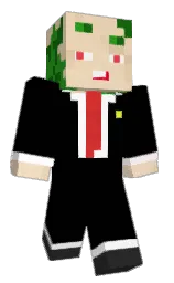 black and chamois Minecraft skin — Classic model — first worn by pxtit_louis