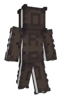 Front of rhinochemaera's skin
