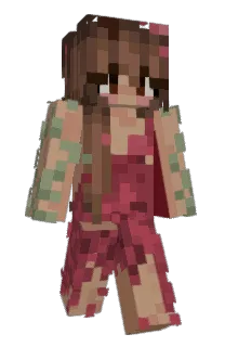 anjjj's Minecraft skin