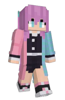 Front of MiniFloppy's skin