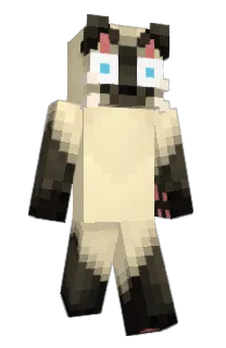 Sava_a's Minecraft skin
