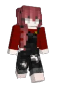 sslooserr