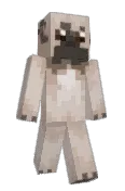 fransebuldog