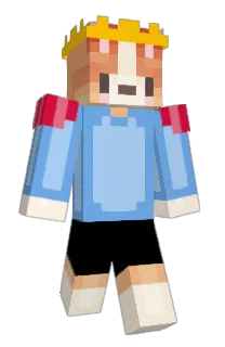 Front of Tuinbot's skin