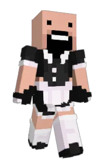 Front of NinjaPaddy's skin