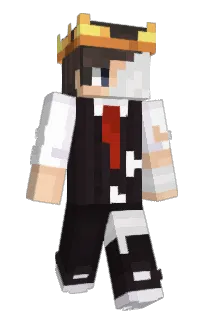 Front of HighRVLE's skin