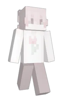 Front of Jamba_Fanta's skin