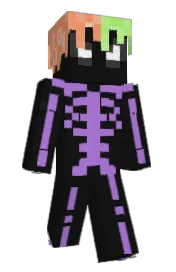 Skin preview
