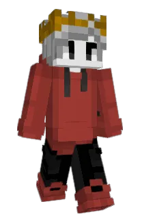 Front of Raytwo's skin