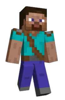 Front of LogicTheWise's skin